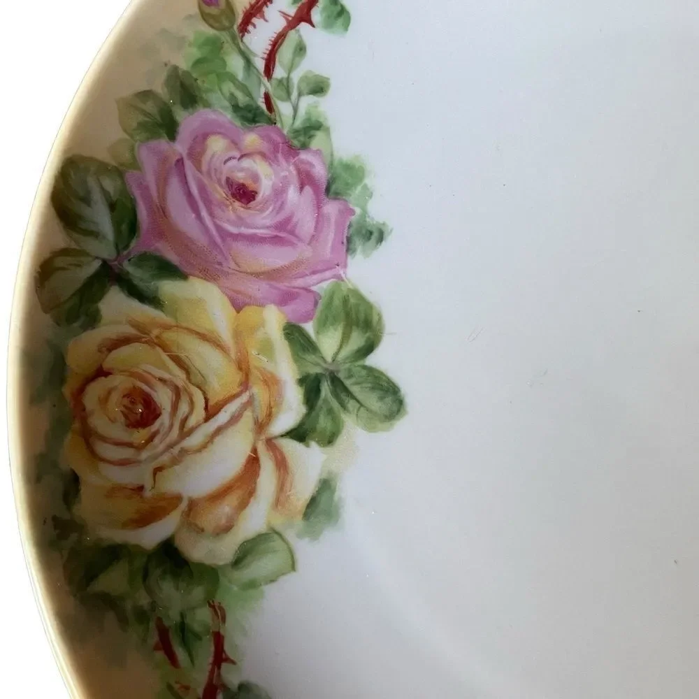 O & EG Royal Austria Handpainted Roses‎ With Thorns plate